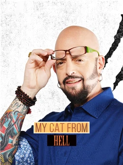 My Cat from Hell