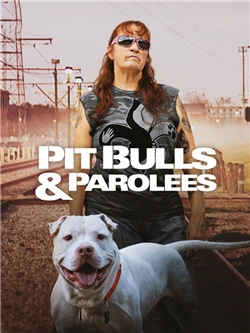 Pit Bulls & Parolees