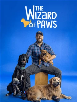 The Wizard of Paws
