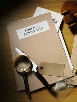 Cold Case Files