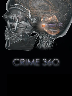 Crime 360