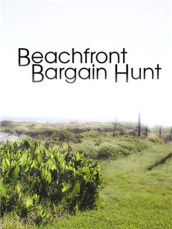 Beachfront Bargain Hunt