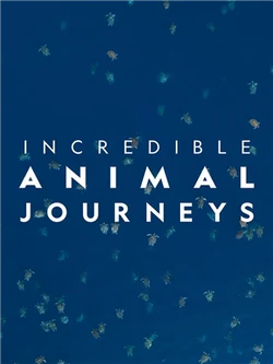 Incredible Animal Journeys
