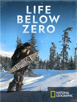 Life Below Zero: Port Protection